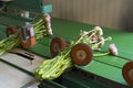 Flower bundling machine