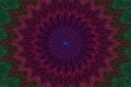 Flower burgundy pattern floral kaleidoscope. style