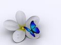 Flower and butterfly