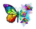 Flower butterfly with rainbow roses Royalty Free Stock Photo