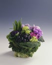 Flower,cabbage and grape bouquet