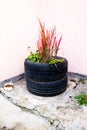 Flower cabinet made of car ramps near a house with a plant Royalty Free Stock Photo