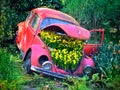 Flower Car Crash Royalty Free Stock Photo