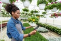 Flower care and plant quality. Woman in apron holding flower pot in hand and look at tablet