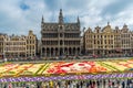 Flower carpet 2016 in Brussels Royalty Free Stock Photo