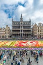 Flower carpet 2016 in Brussels Royalty Free Stock Photo