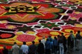 A flower carpet in Brussels, Belgium