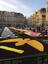 Flower carpet 2016 brussels Royalty Free Stock Photo