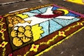 Flower carpet- 2019-cusco city full frame peru