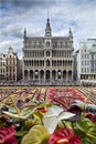 Flower Carpet in Front of King House or Het Broodhuis in Grand Place of Brussels Royalty Free Stock Photo