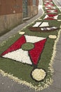 Flower carpet, Galicia, Spain