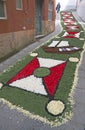 Flower carpet, Galicia, Spain