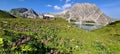 Flower carpet on the shore of beautiful mountain lake of Lunersee in the morning, Austrian Alps