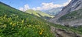 Flower carpets of the Ratikon Alps during a hike across Austria and Switzerland.
