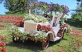 Flower cars exhibition at Spivoche Pole in Kyiv, Ukraine