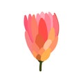 Flower Cartoon icon