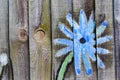 Flower chalk drawn by child on old rustic vinatge wooden fence