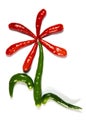 Flower from chili pepper