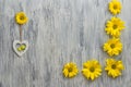 A flower of chrysanthemum on a wooden surface. The background Royalty Free Stock Photo