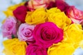 flower closeup, bunch of flowers , colorful flower background