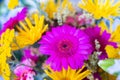 flower closeup, bunch of flowers, colorful flower background