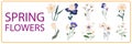 Flower collection with leaves, floral bouquets. Vector simple flowers set. Spring print with botanical elements. Happy Royalty Free Stock Photo