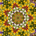 Flower color pattern violet kaleidoscope Royalty Free Stock Photo