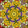 Flower color pattern violet kaleidoscope Royalty Free Stock Photo