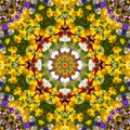 Flower color pattern violet kaleidoscope Royalty Free Stock Photo