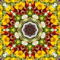 Flower color pattern violet kaleidoscope Royalty Free Stock Photo