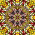 Flower color pattern violet kaleidoscope Royalty Free Stock Photo