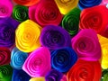 Flower of color Royalty Free Stock Photo