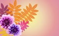 Flower and colorful leaves on background