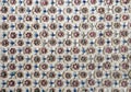 Flower colorful stucco pattern decorative on the white