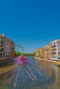 Flower at the colorful yellow and orange houses and famous house Casa Maso at the river Onyar in Girona