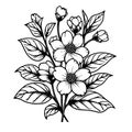 Flower coloring page for adults, Sketch jasmine flower drawing, jasmine vector art, Hand drawn beautiful jasmine flower Royalty Free Stock Photo