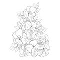 Flower Coloring page hand drawn flower azalea of vector illustration on white background