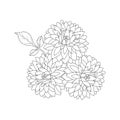 flower coloring page of vector illustrations in hand drawn outline stroke