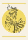 Flower columbine aquilegia branch sketch illustration poster.