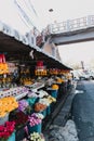 Flower colurful Flower market Kad Luang Chiang Mai