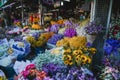 Flower colurful Flower market Kad Luang Chiang Mai