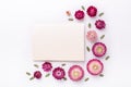 Flower composition. Blank of paper and frame made of dry flowers on white background. Flat lay. Top view. Copy space Royalty Free Stock Photo