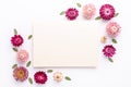 Flower composition. Blank of paper and frame made of dry flowers on white background. Flat lay. Top view. Copy space Royalty Free Stock Photo