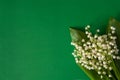 Border of flowers and green leaves of the may lily of the valley Convallaria majalis on a green paper background. Royalty Free Stock Photo
