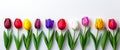 Flower composition. A charming array of vibrant spring flowers set against a pristine white backdrop. This