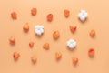 Flower composition. Cotton flower and physalis winter cherry on a pastel orange background. Beautiful floral background. Top