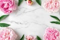 Flower composition. Frame made of pink peony flowers on white marble background. Flat lay. Top view Royalty Free Stock Photo