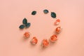 Flower composition, round frame of delicate coral heads of roses and green leaves on a pastel pink background. Flat lay, top view