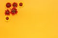 Flower composition. Several yellow red flowers in the top left corner on orange background. Flat lay Top-down composition. Copy