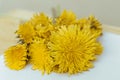 Flower composition on the white background. Dandelions bouquet. Isolated. Close up macro shot.